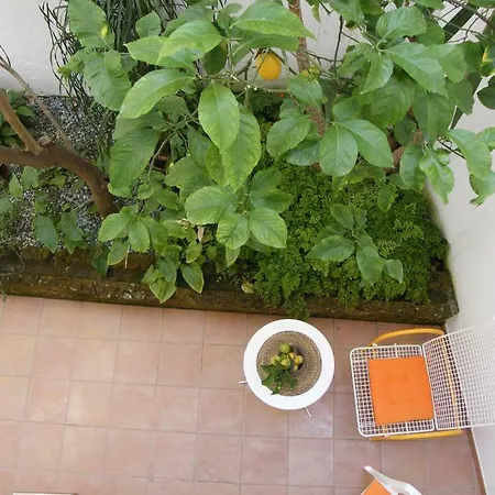 Il Cedrangolo House Monopoli