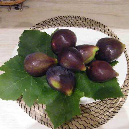 Apartmán Il Cedrangolo House